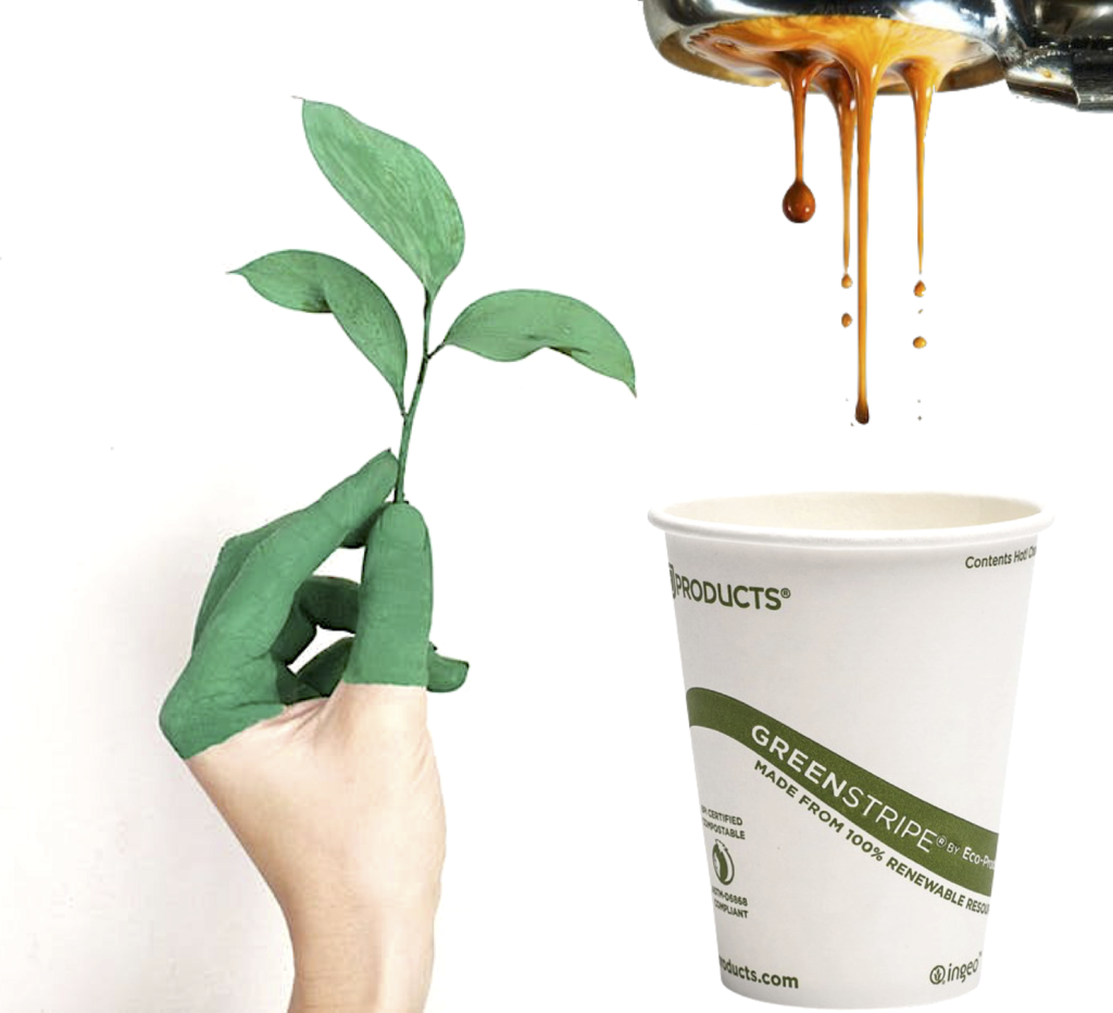 compostable eco cup